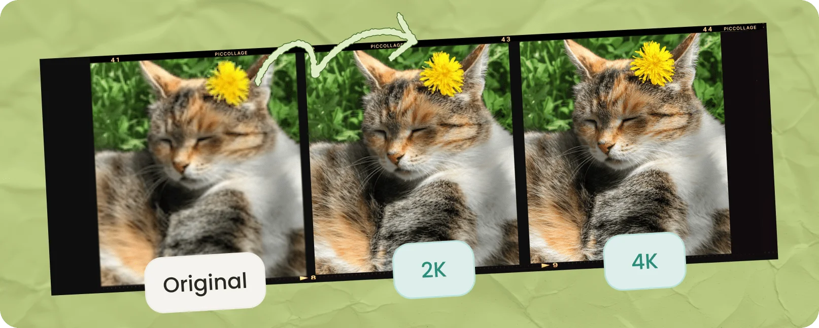 The same photo of a sleeping cat with a dandelion behind its ear shown three times, labelled Original, 2K, and 4K, getting sharper at each higher resolution